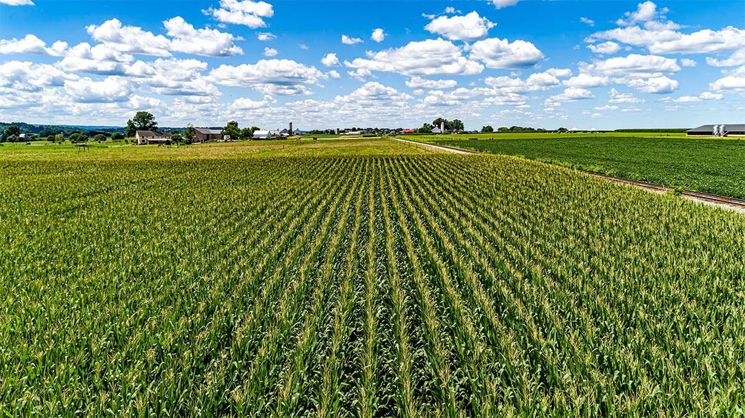 Ag drones in Montezuma